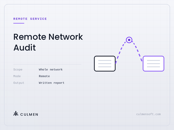 Remote Network Audit — whole network reviewed remotely, written report delivered